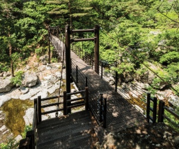 울진 신선계곡 현수교